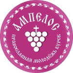 Ампелос - молодёжный отдел Курской епархии